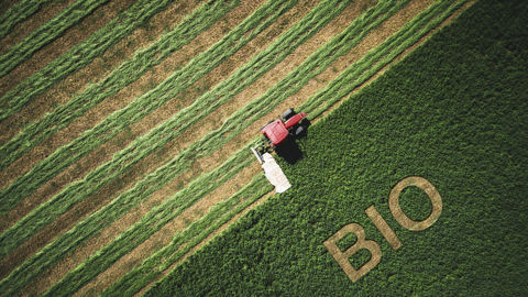 Le guichet de dépôt des demandes d'aides pour la bio est ouvert du 16 août au 20 septembre.